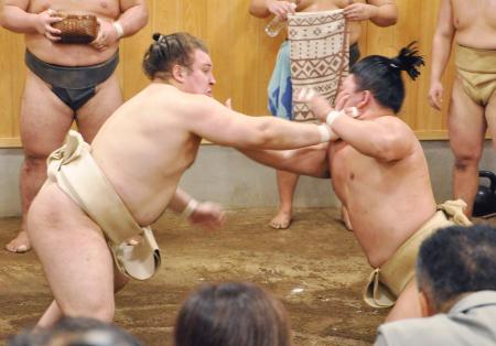 　秋場所に向けて稽古する安青錦（左）と藤ノ川＝東京都江東区の安治川部屋