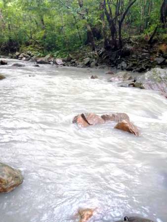 白く濁った嘉徳川＝瀬戸内町嘉徳（住民提供）