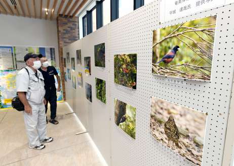 奄美大島の希少野生生物を写真で紹介する特設展＝奄美市役所