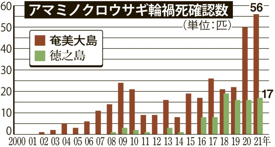グラフ・アマミノクロウサギのロードキル数