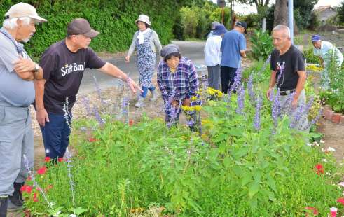 畑でブルービーに見入る住民ら＝鹿児島県日置市伊集院町恋之原