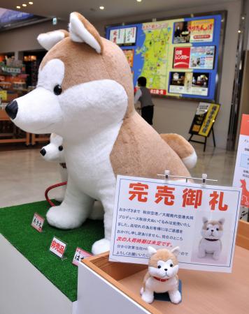 　秋田犬のぬいぐるみ（右下）が完売したことを知らせる注意書き＝１３日、秋田空港