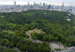 　代々木公園＝２０１４年９月