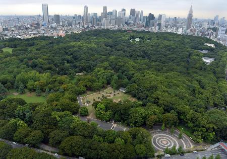 　代々木公園＝２０１４年９月