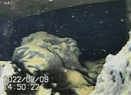 　福島第１原発１号機の原子炉格納容器内部調査で見つかった、デブリの可能性がある塊状の堆積物＝９日（国際廃炉研究開発機構、日立ＧＥニュークリア・エナジー提供）