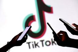 　中国系動画投稿アプリ「ＴｉｋＴｏｋ（ティックトック）」のアイコン（共同）