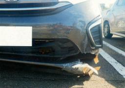 　９月、秋田県美郷町の県道で救急車のドライブレコーダーに映ったクマ。１頭と衝突した（大曲仙北広域消防本部提供）