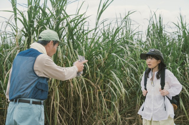 映画『風のマジム』9月5日より沖縄県先行公開、9月12日より全国公開 （C）2025 映画「風のマジム」 （C）原田マハ／講談社