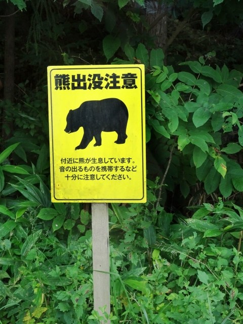 熊に遭遇したらどうする？身を守るために知っておきたい熊よけ対策アイテム＆心得