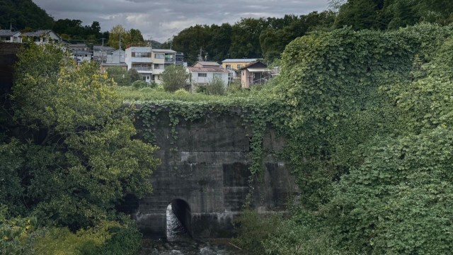 『ハートフルワールド』京都・紙屋川砂防ダム後編（C）CBCテレビ