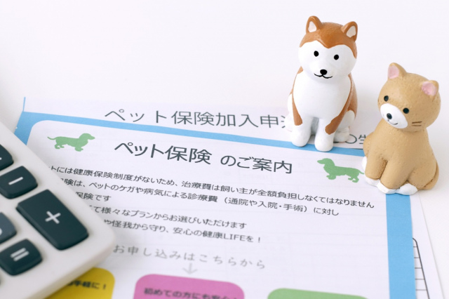「ペット保険」利用実態データを発表（オリコン顧客満足度(R)調査）（画像はイメージ)