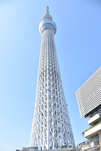 東京スカイツリー (C)ORICON NewS inc.
