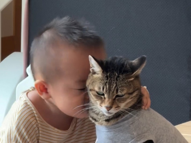 ムギくんに“すりすり”するコウキくん(画像提供:柴犬Haluさん @halu4809)