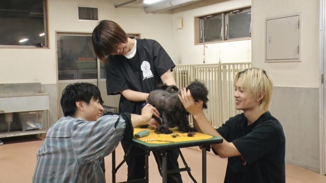 1日放送『嗚呼!!みんなの動物園』より (C)日本テレビ