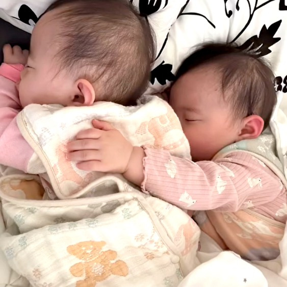 0歳当時の双子の娘さんたち（TikTok／@shinamia.pより）