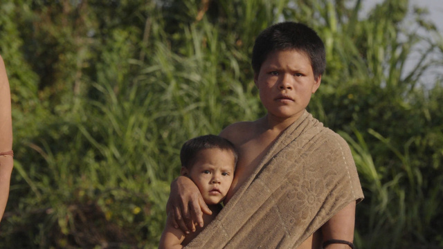 NHKスペシャル『イゾラド』の続編が放送決定 （C）NHK