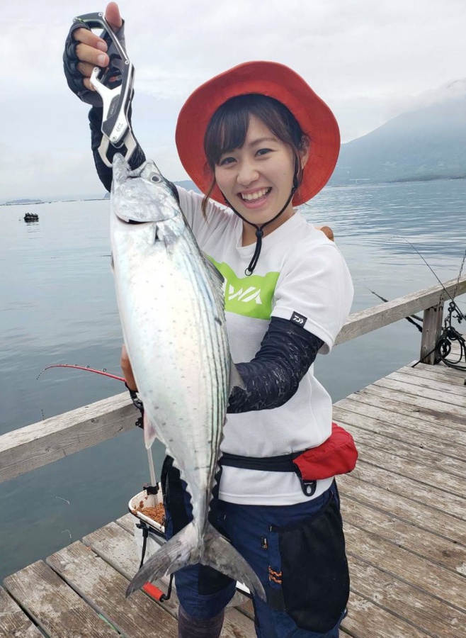 泳がせ釣りでハガツオが釣れた＝９月１３日、垂水市の「海潟イカダ」