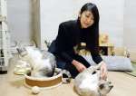 飼い猫の世話をする鶴田優子さん＝鹿児島市新屋敷町の「猫好きルームもふもふ」