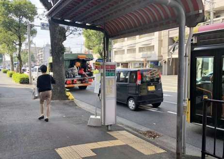 確認した中で最も低かった甲南高校前のバス停。これも人によっては、見づらい高さ。市交通局も「なぜ低いのか分からない」という＝鹿児島市荒田１丁目