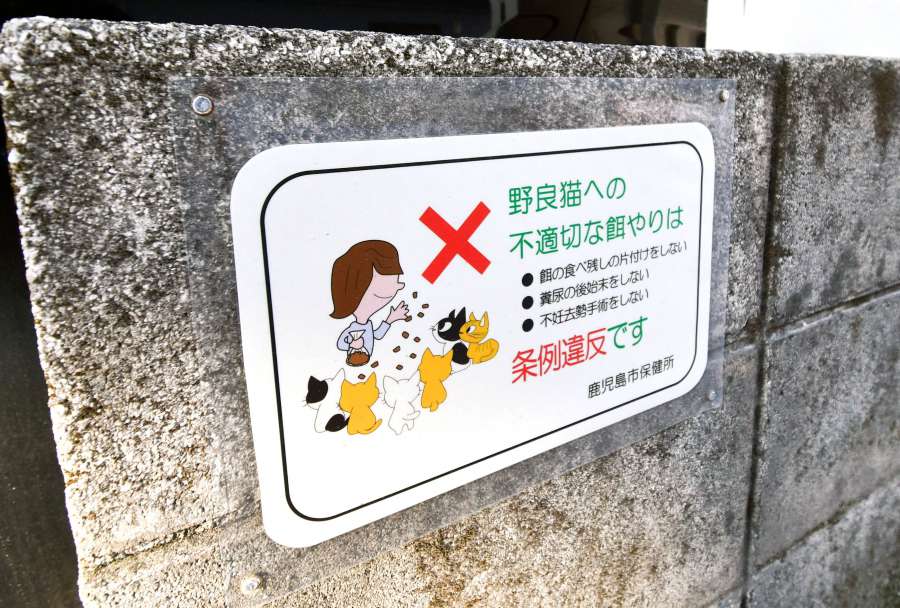 駐車場の入り口に掲示した餌やりを禁じる表示板＝鹿児島市