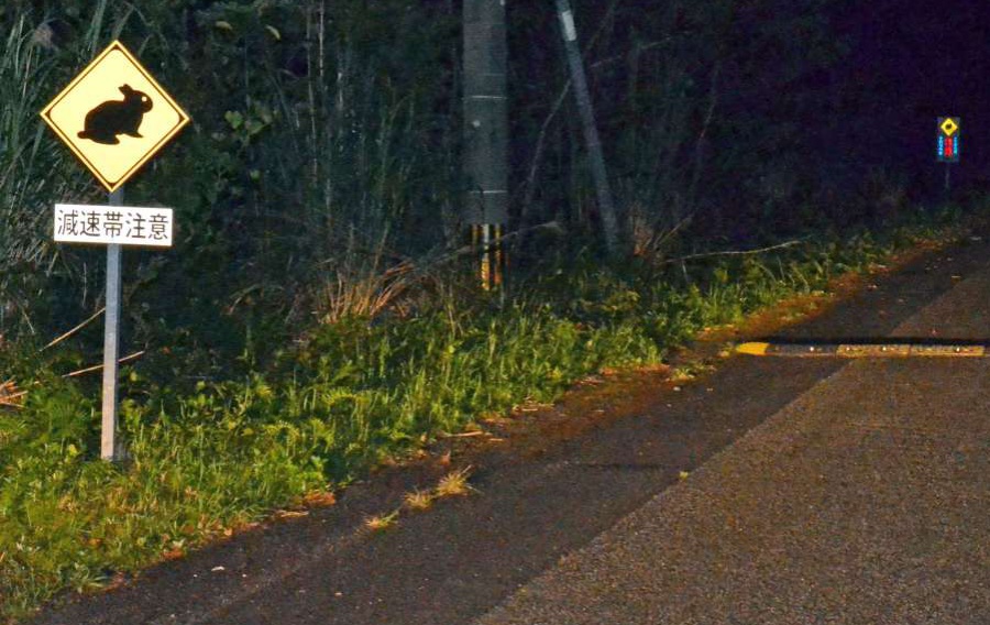 三太郎峠を通る市道「三太郎線」の入り口。注意を呼び掛ける減速帯が設置されている＝奄美市住用