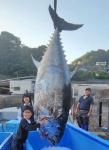 港に水揚げされたクロマグロ＝長島町鷹巣