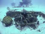 海底でむき出しになっている機体の一部。魚が周辺を泳ぎ回っている＝８日、西之表市国上沖