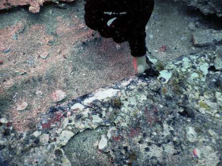 ■機体の一部に残っている深緑色の塗装＝８日、西之表市国上沖
