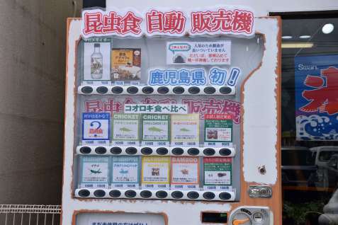 コオロギ食べ比べ商品などが並ぶ昆虫食自動販売機＝霧島市国分野口西のビッグバード・カピリナ前