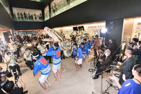 ハブみこしで登録を祝う奄美大島５市町村の関係者ら＝２６日、奄美市役所