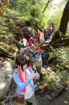 縄文杉の手前で列をなす登山者＝２０１３年５月４日、屋久島町