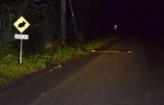 三太郎峠を通る市道「三太郎線」の入り口。注意を呼び掛ける減速帯が設置されている＝奄美市住用