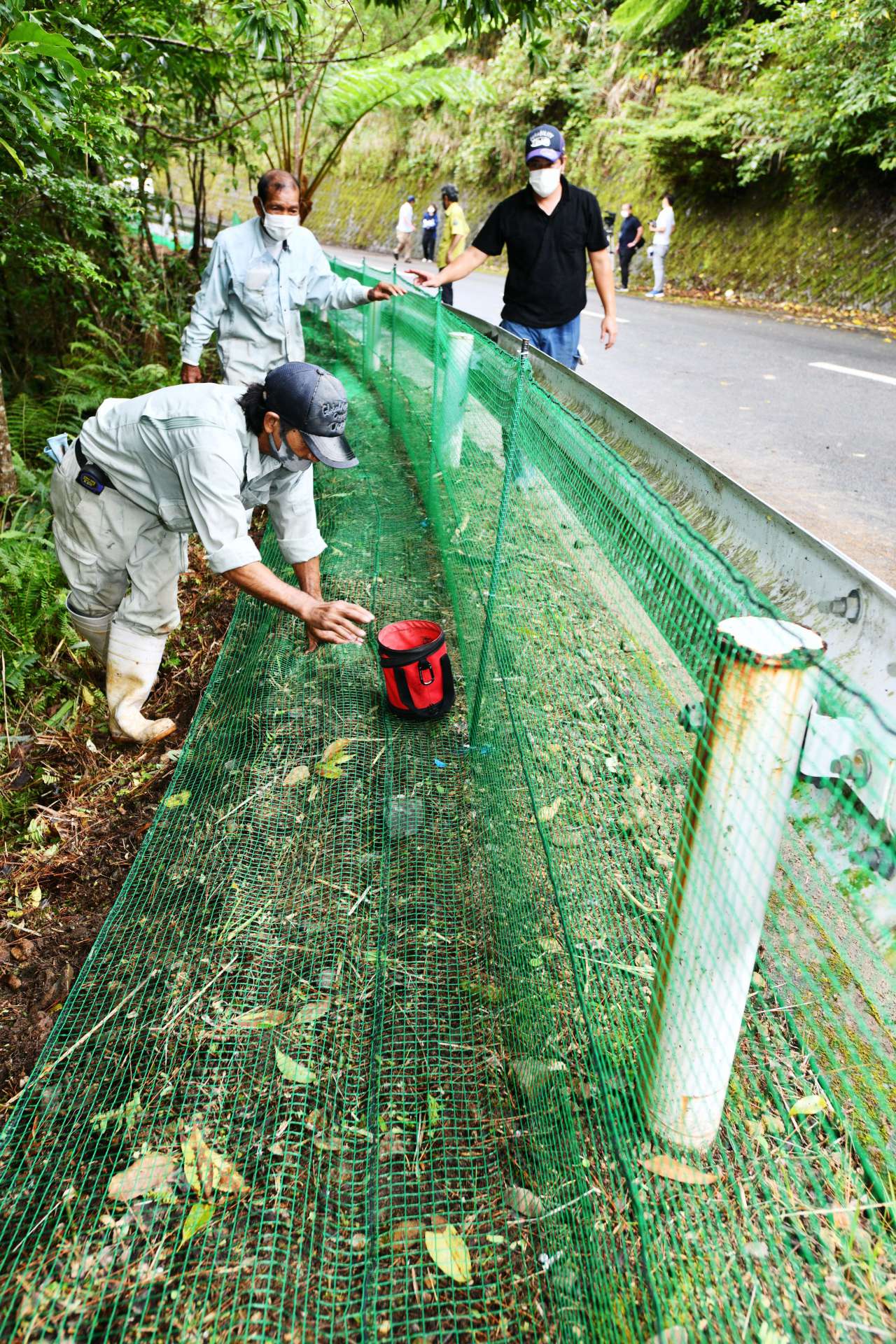 アマミノクロウサギの道路飛び出しを防ぐネットを設置する建設業者＝１６日、大和村の村道マテリヤ線