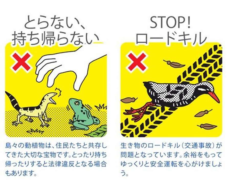 希少野生生物の交通事故や密猟防止を呼び掛けるメッセージ（環境省提供）
