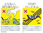 希少野生生物の交通事故や密猟防止を呼び掛けるメッセージ（環境省提供）