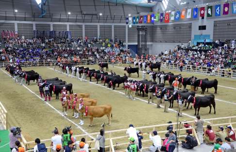 鹿児島県が団体優勝した第１１回全国和牛能力共進会＝２０１７年９月１１日、仙台市