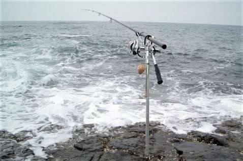 遠投カゴ釣りの様子