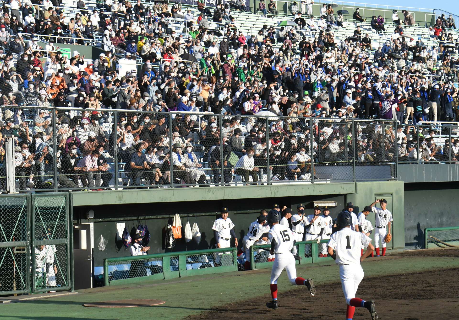 大島高校の応援に多くの人が詰めかけた三塁側スタンド＝７日、鹿児島市の平和リース球場