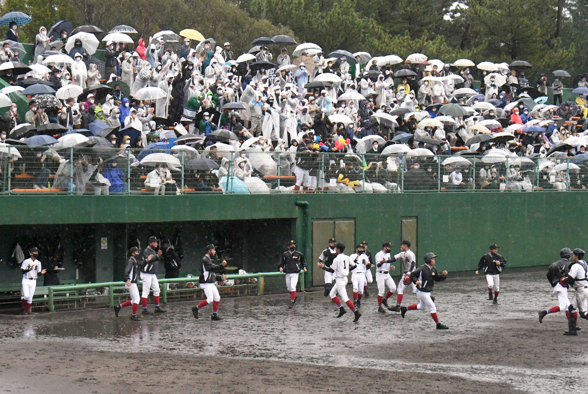 大分舞鶴との１回戦、延長１０回表のピンチを切り抜けて盛り上がる大島ナインと応援席＝６日、鴨池市民