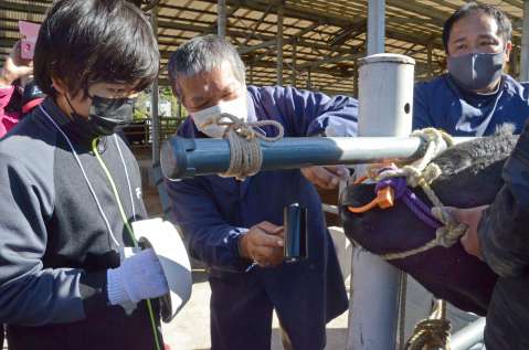 個体を識別する鼻紋の採集に挑戦する児童