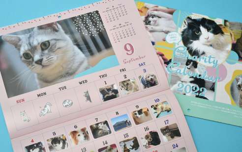 保護猫などの写真が満載のチャリティーカレンダー