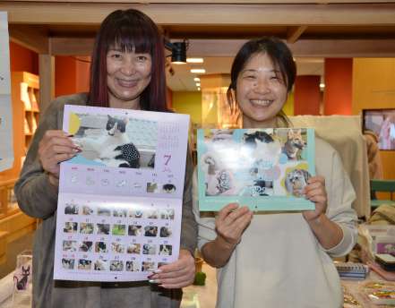 「３６５日犬猫を身近に感じて」と保護猫などの写真満載のチャリティーカレンダーを作ったあんじゅりあんのメンバー＝鹿児島市