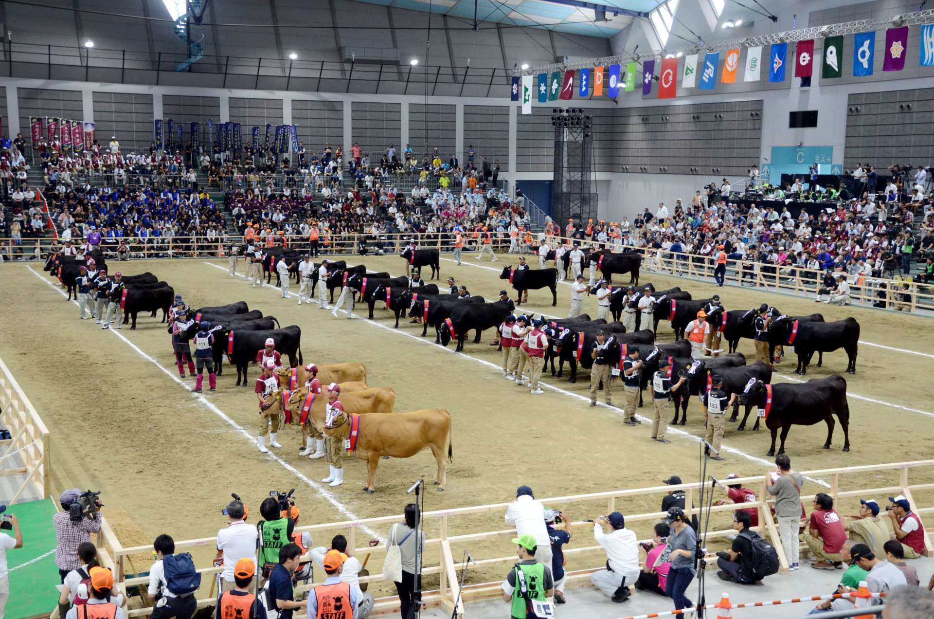 鹿児島県が総合優勝した第１１回全国和牛能力共進会＝２０１７年９月１１日、仙台市