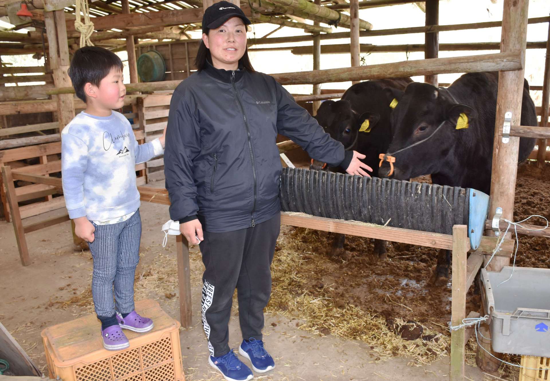 ２０頭ほどの母牛を飼育する繁殖農家の永田佳美さん＝姶良市蒲生