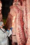 出荷した枝肉を確認する江籠畜産の江籠範厚社長＝東京・品川の東京食肉市場