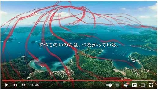 （別カット）第４回日本国際観光映像祭日本部門で準グランプリになった奄美大島の作品（ユーチューブから）