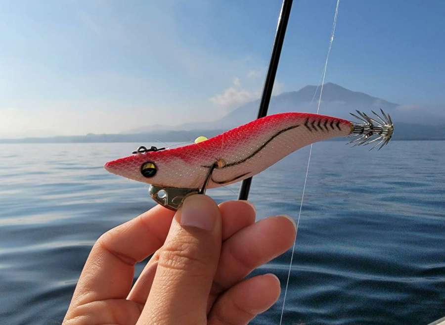 アオリイカ釣りで愛用しているエギ