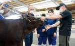 ロープの結び方を学ぶ生徒＝２６日、鹿屋市の肝付中央家畜市場