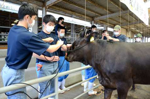 ロープの結び方を学ぶ生徒＝２６日、鹿屋市の肝付中央家畜市場