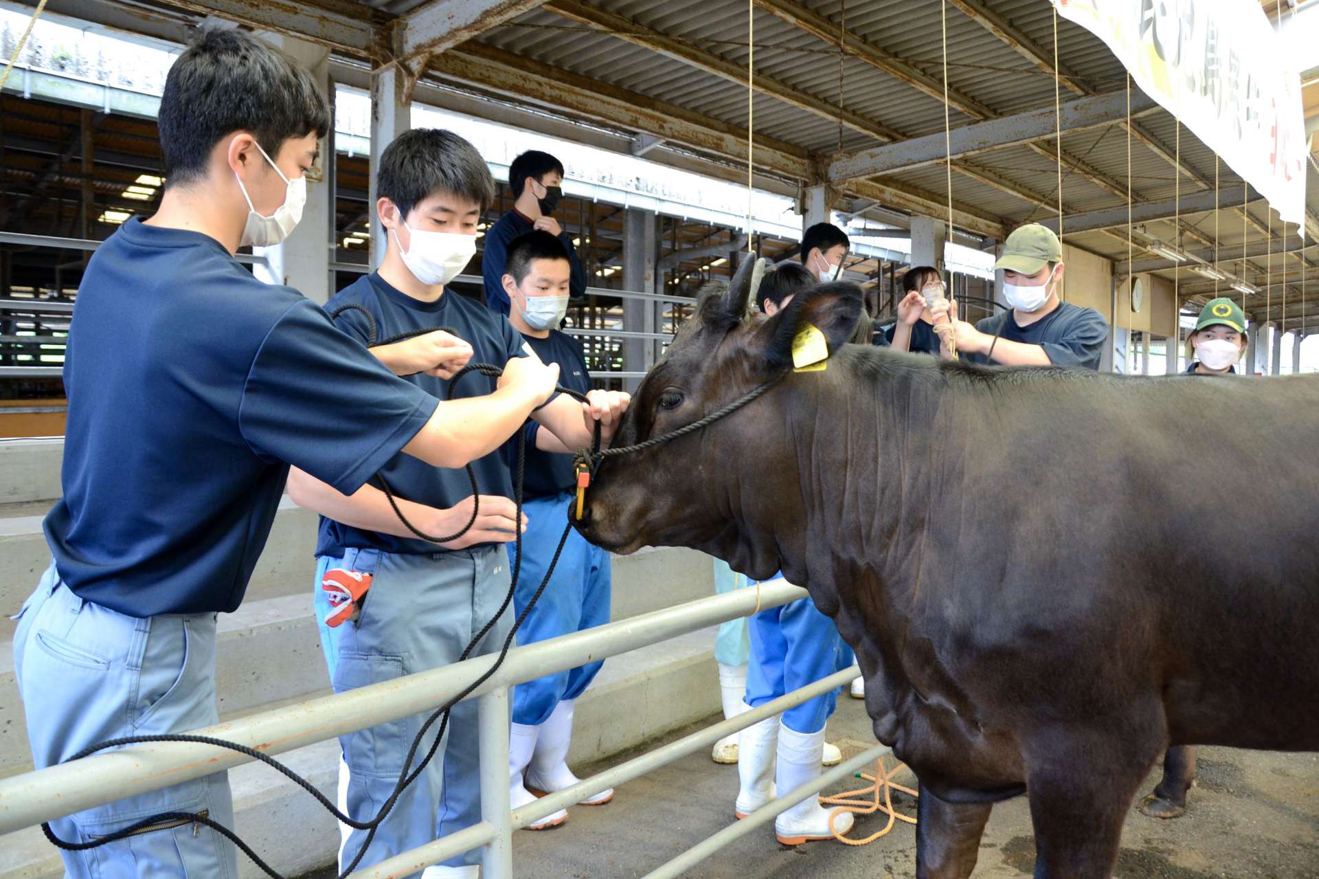ロープの結び方を学ぶ生徒＝２６日、鹿屋市の肝付中央家畜市場